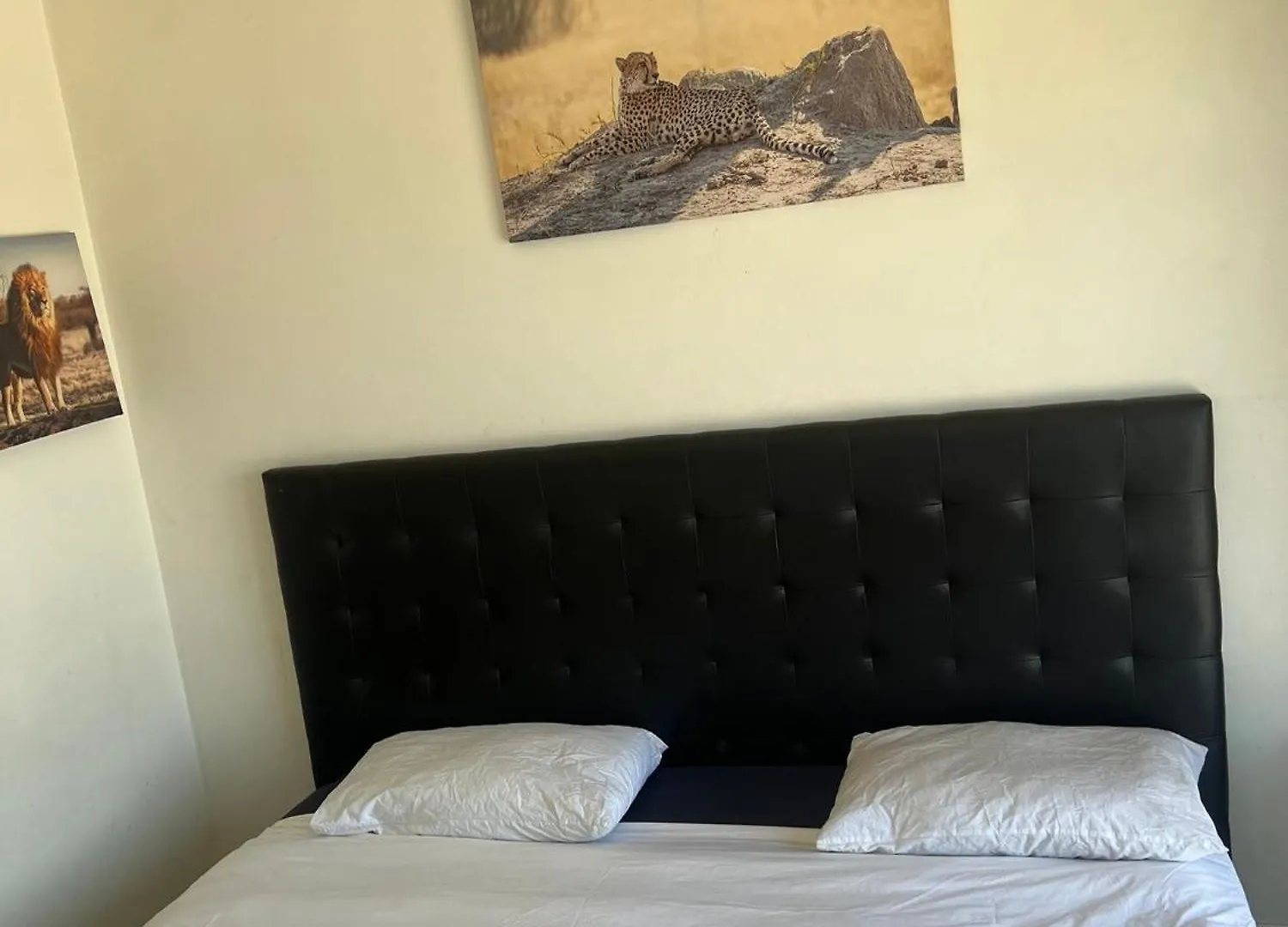 Sunny Escapes Rentals Cape Town South Africa